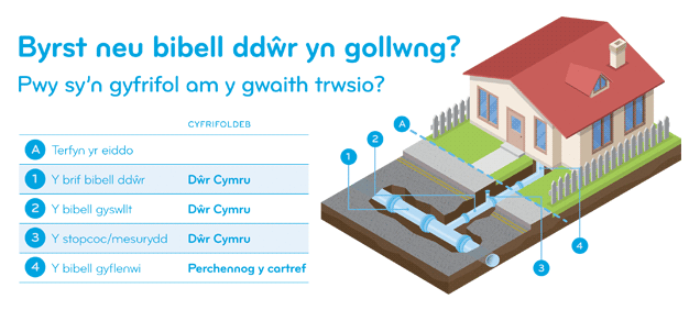 Burst of leak pipe welsh
